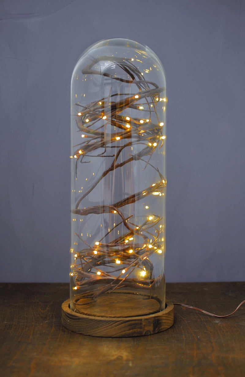 16" Glass Cloche - thumbnail number 2