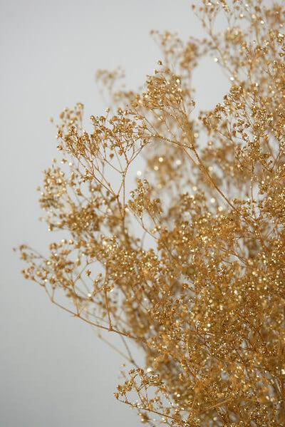 Gold Sparkle Preserved Baby's Breath 4oz Bundle