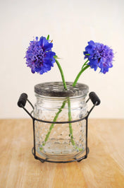 hobnail glass jar with frog lid 5in - thumbnail number 1
