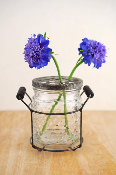 Hobnail Glass Jar with Frog Lid 5" and Wire Rack