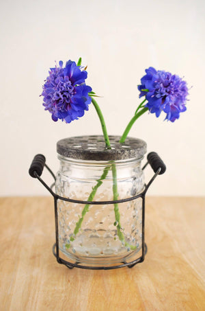 hobnail glass jar with frog lid 5in