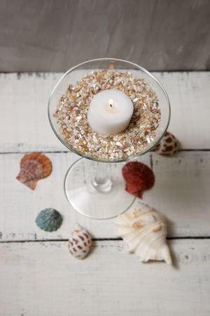 crushed shells fine 1 75 lbs