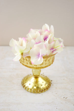 Mercury Glass Compote Gold 4.5in