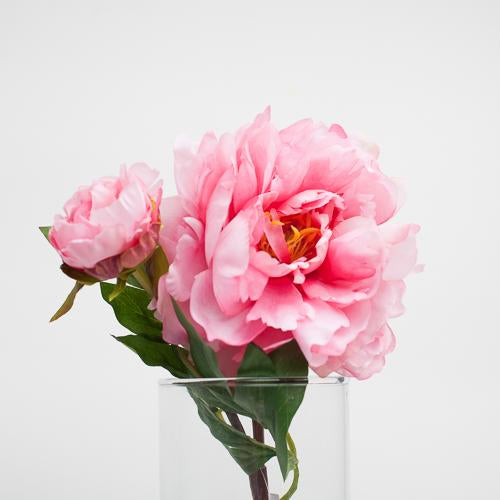 richland pink peony 22 - thumbnail number 2