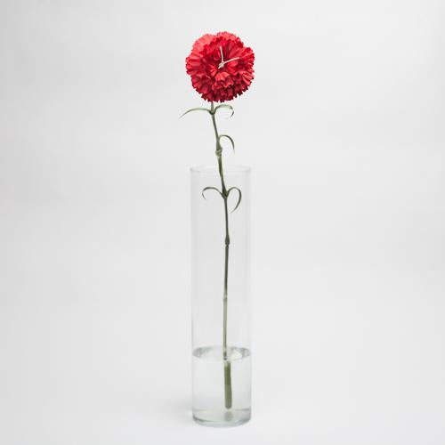 richland red carnation 27 24 - thumbnail number 2