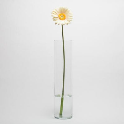 Richland Yellow Gerbera Daisy 24" - thumbnail number 2
