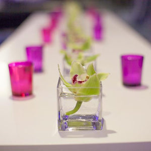 Eastland Square Votive Candle Holder Set of 72