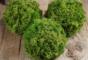 Green Reindeer Moss 4" Balls (set of 3)