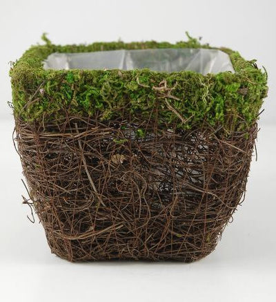 moss and wicker square pot 5in - thumbnail number 3