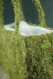 Natural Preserved Moss 12in Purse with Liner - thumbnail number 2
