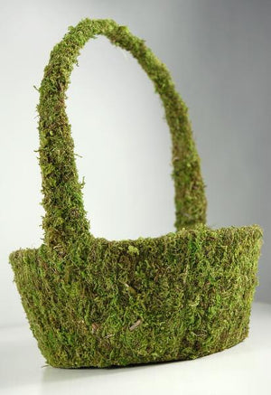 Moss Basket 12in