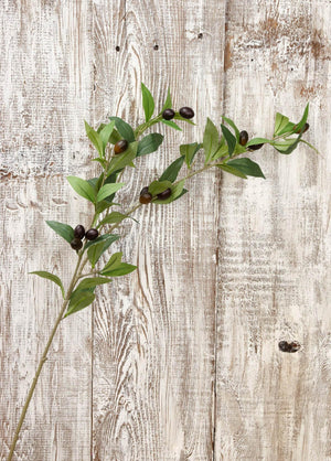 Olive Branch 31.5in