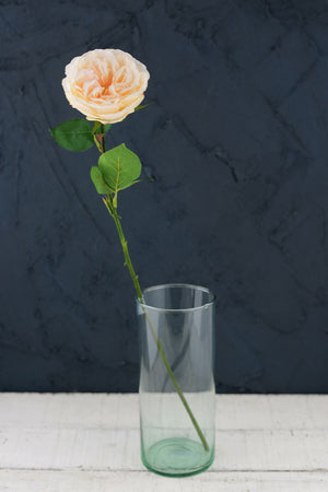 12 Long Stem Peach Roses