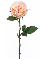 12 long stem peach roses - thumbnail number 2