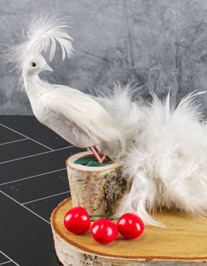 White Feathered Peacock 16in