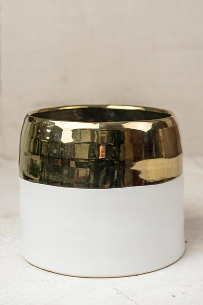 White and Gold Ceramic Claire Vase & Pot 7.5" x 6.25" - thumbnail number 1