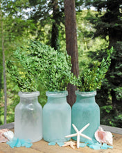 preserved boxwood bundle in natural green 5oz - thumbnail number 2