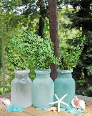 preserved boxwood bundle in natural green 5oz