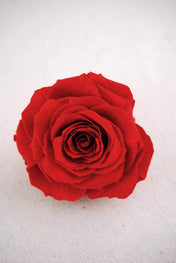 preserved roses 4 red - thumbnail number 1