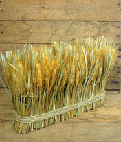 Natural Preserved Wheat Bundle 10"x 15" - thumbnail number 1