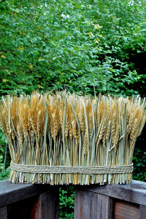 natural preserved wheat bundle 10 x 15