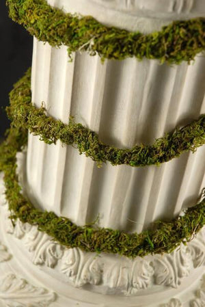 preserved moss vine 6ft