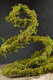 Preserved Moss Vine 6ft - thumbnail number 1