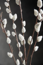 12 artificial pussy willow branches 31 in - thumbnail number 3