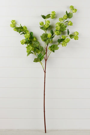 Blooming Hops Spray 39"