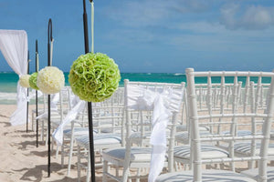 Adjustable Black Iron Shepherds Hook 34"-55"