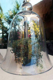 thick glass bell jar 11 1 2 - thumbnail number 2