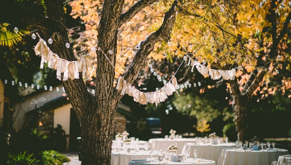 5 Easy Ways to Beautify Your Property for a Backyard Wedding