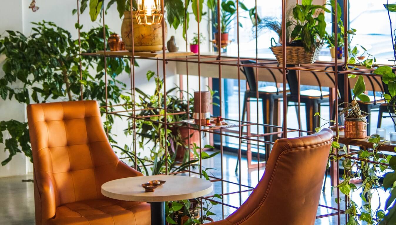 How to Decorate Your Home in a Way That’s Eco Chic