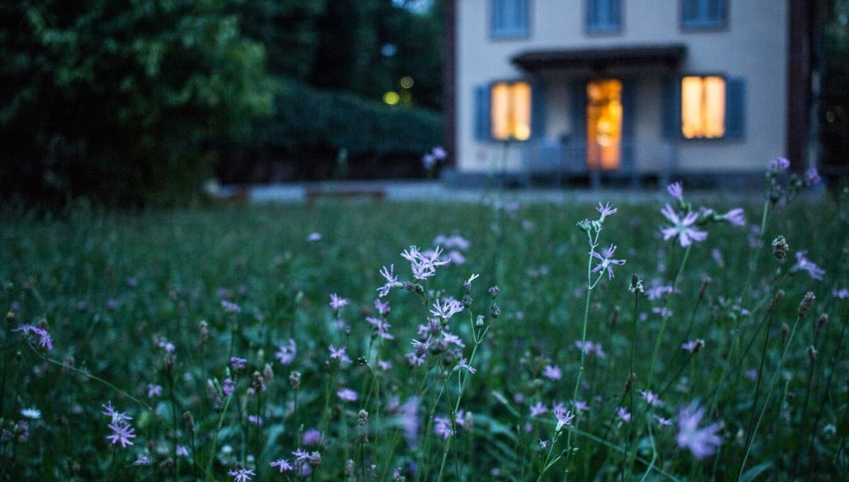 From Just Married to Just Moved: 6 Considerations for a Post-Wedding Home Purchase