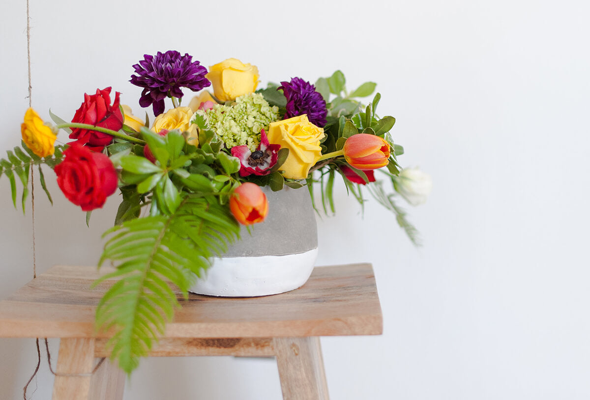 Whimsical Atmosphere