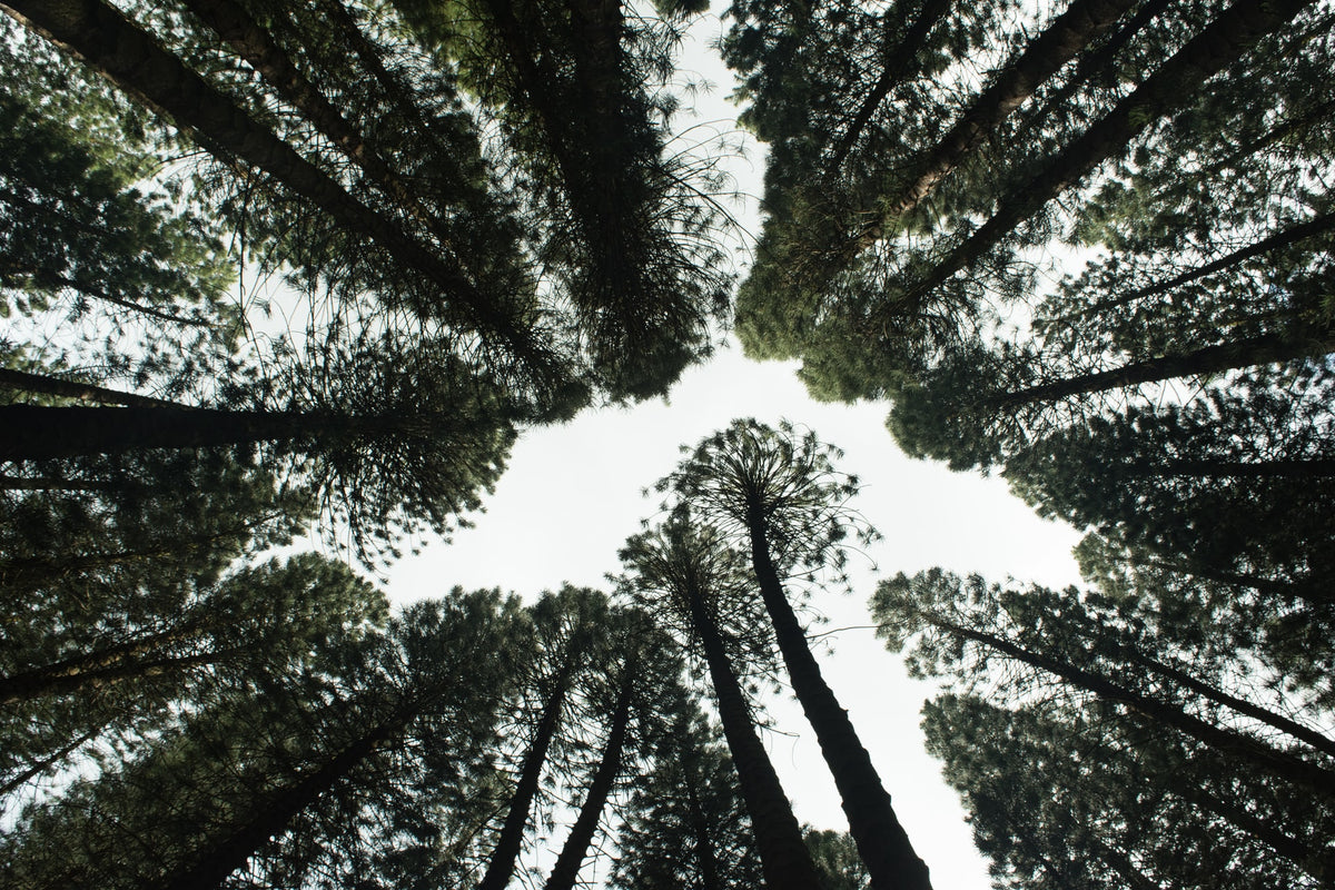 6 Ways to Make Your Home More Eco