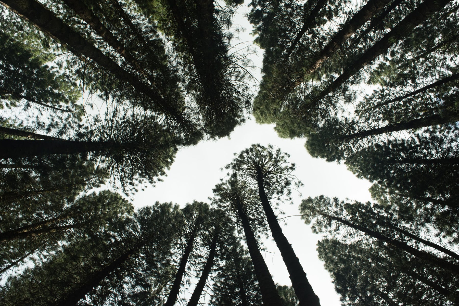 6 Ways to Make Your Home More Eco