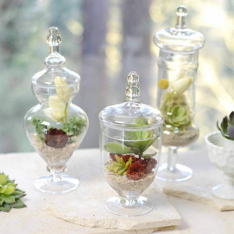 Apothecary Jars