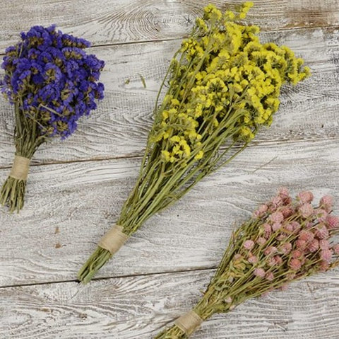 Gyp, Baby's Breath, Caspia