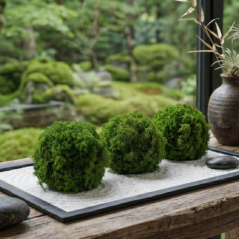 Moss