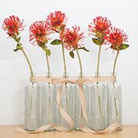 Vintage Bottles & Holders