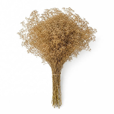 Gold Sparkle Preserved Baby's Breath 4oz Bundle