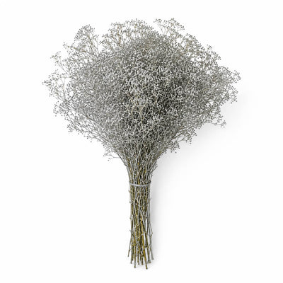 Silver Sparkle Preserved Baby's Breath 4oz Bundle