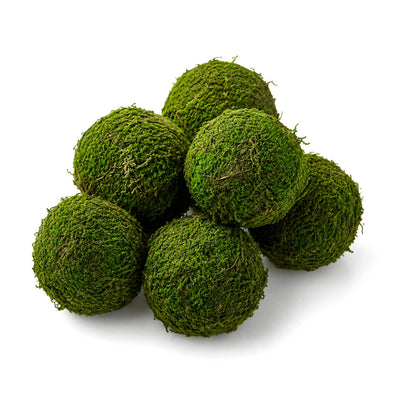 Natural Moss Balls 2" Set of 6