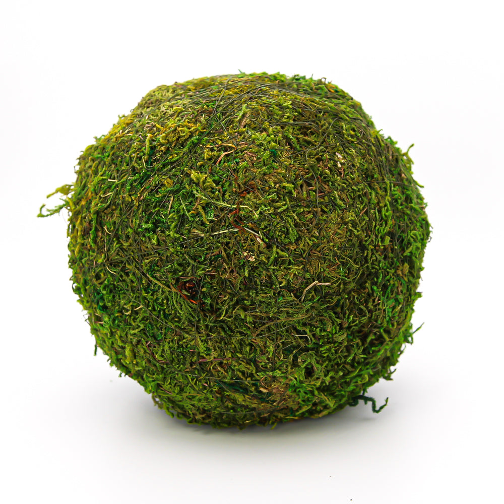 Moss Ball Natural 6"