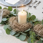 Spanish Moss Natural (125 cubic inches) - thumbnail number 6