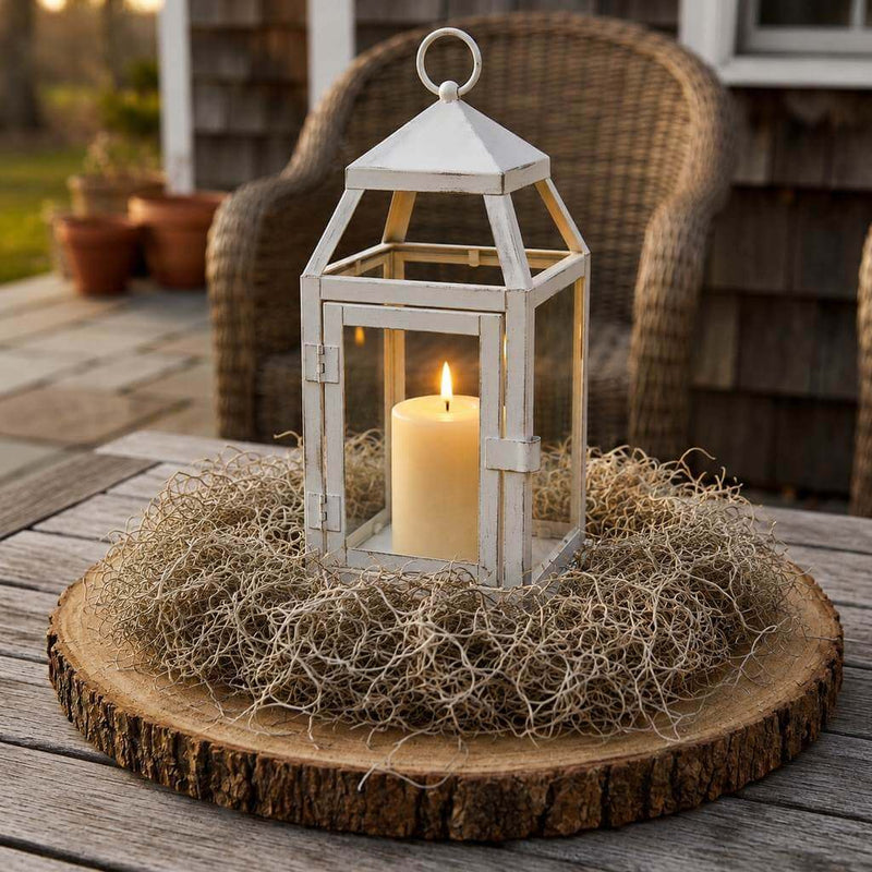 Spanish Moss Natural (125 cubic inches) - thumbnail number 7