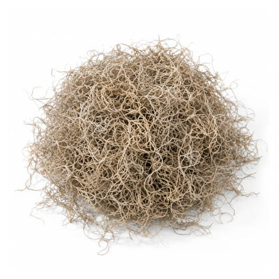 Spanish Moss Natural (125 cubic inches) - thumbnail number 1