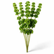 Silk Bells of Ireland Spray 21" - thumbnail number 1
