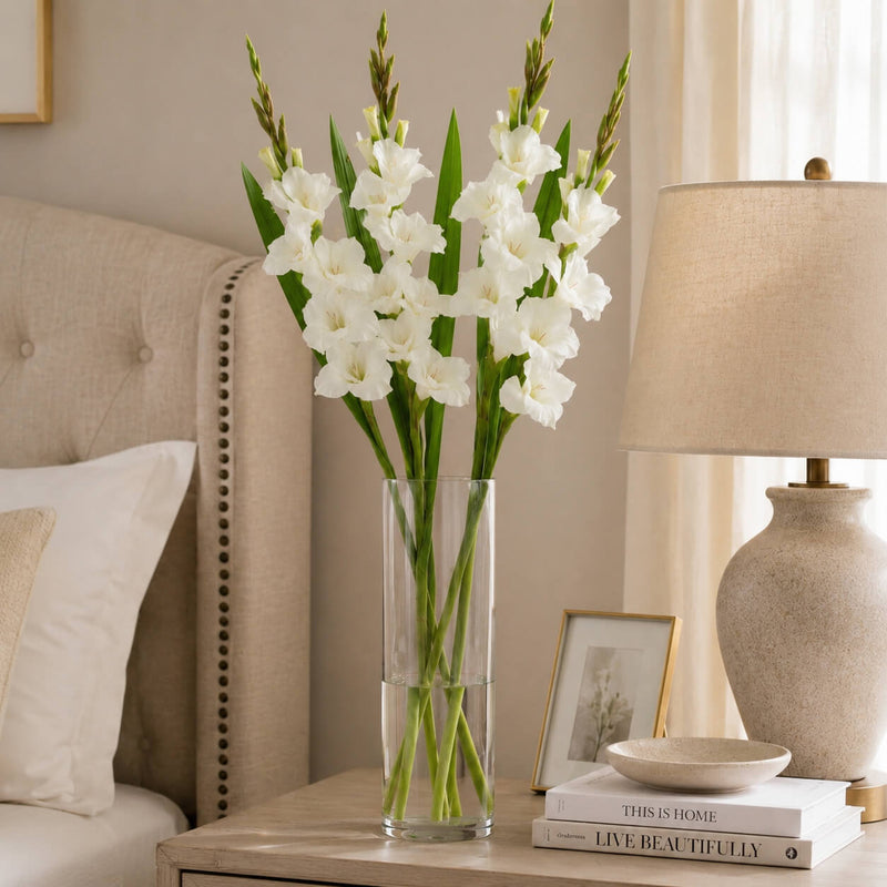 White gladiolus flower spray in a glass cylinder vase on a bedside table next to a lamp - thumbnail number 8